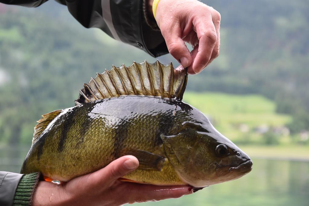 Der Ronacherfels Lejlighed Weissensee Eksteriør billede